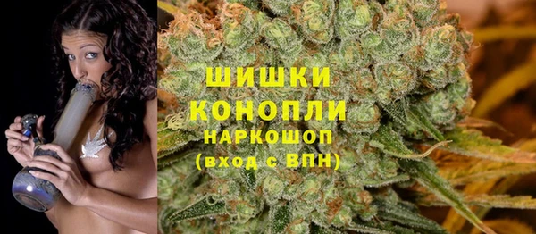 ГАЛЛЮЦИНОГЕННЫЕ ГРИБЫ Покров