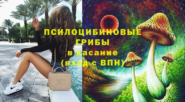 кристаллы Гусь-Хрустальный