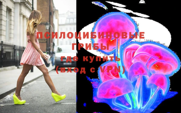 ГАЛЛЮЦИНОГЕННЫЕ ГРИБЫ Покров