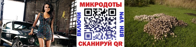 Псилоцибиновые грибы мицелий  Рыбное 